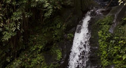 El destino de Puebla para disfrutar San Valentín entre cabañas y cascadas