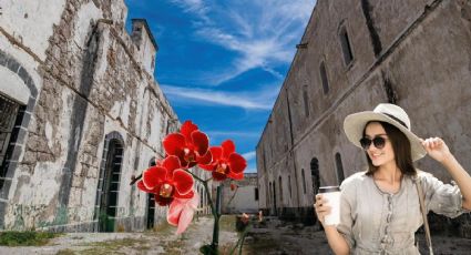 La ruta del café y las orquídeas que recorre paisajes montañosos y pueblos llenos de historia