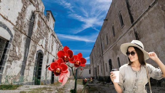 La ruta del café y las orquídeas que recorre paisajes montañosos y pueblos llenos de historia