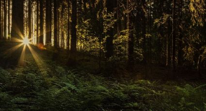 ¿Cómo llegar al destino donde puedes disfrutar entre duendes en un Pueblo Mágico de Hidalgo?