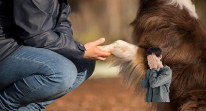 Hombre vuela solo para ver a su perro y el reencuentro se vuelve viral