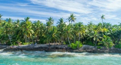 Descubre los tesoros del sureste mexicano con el Tren Maya en 6 días