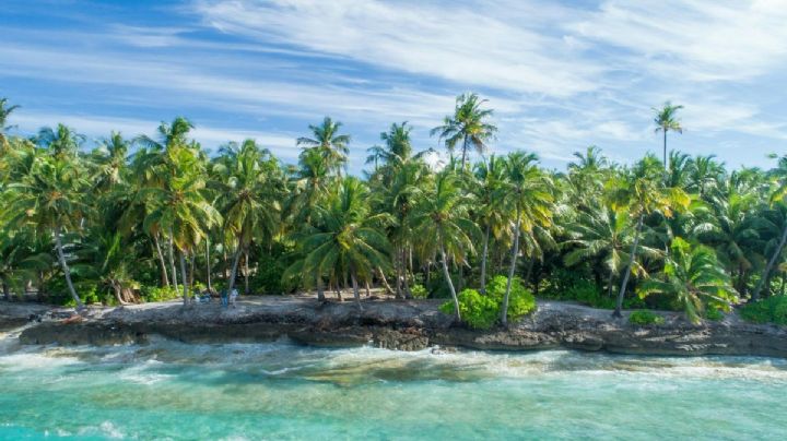 Descubre los tesoros del sureste mexicano con el Tren Maya en 6 días