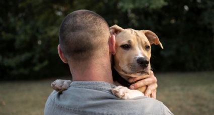 Hombre vuela solo para ver a su perro y el reencuentro se vuelve viral