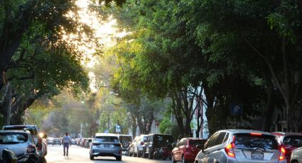 Hoy NO circula 18 de marzo 2026: ¿Qué autos descansan?