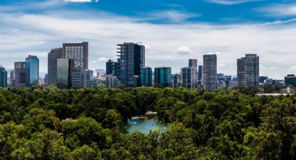 Qué hacer en el Festival del Bosque 2026: fechas, sedes y actividades en Chapultepec