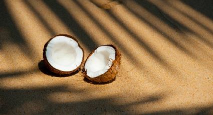 Coco, playa y fiesta: así será el Festival del Coco 2026 en Progreso