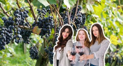 Viaje con amigas: el MEJOR Pueblo Mágico para degustar vino con amigas