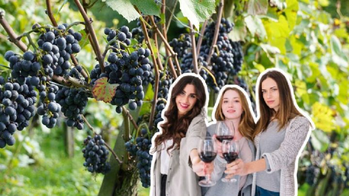 Viaje con amigas: el MEJOR Pueblo Mágico para degustar vino con amigas