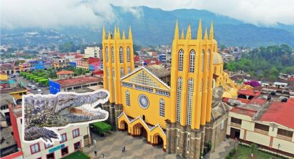 Cocodrilo de pantano es rescatado en México y queda bajo resguardo para su protección