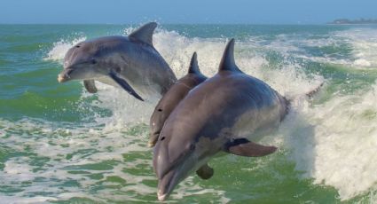 Semana Santa: El destino mexicano para disfrutar entre playa, historia y belleza natural