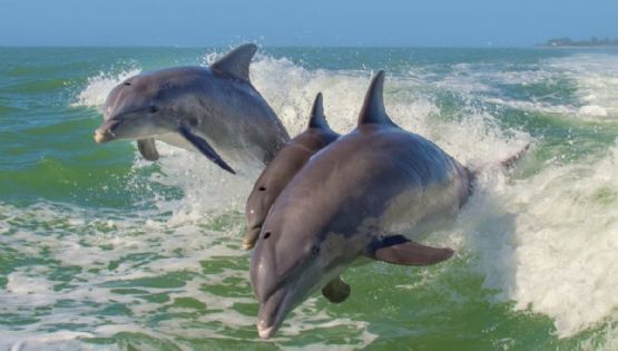 Semana Santa: El destino mexicano para disfrutar entre playa, historia y belleza natural