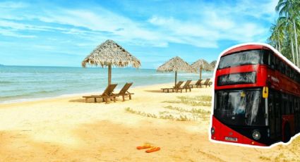 ¿Cuáles son los requisitos para obtener el 50% de descuento para viajar en autobús en vacaciones?