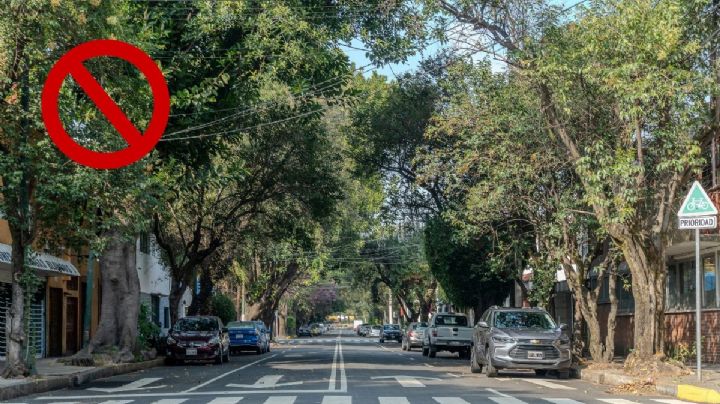 Hoy NO circula 25 de marzo 2026: ¿Qué autos descansan?