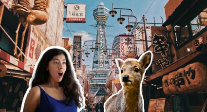 Ciervo de Nara llega a Osaka y sorprende por su valor como tesoro cultural en Japón