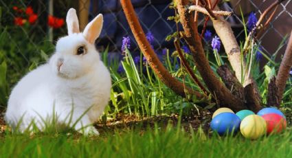 Semana Santa 2026: Celebra la Pascua en la CDMX con actividades GRATIS para niños