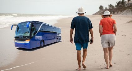 INAPAM: ¿Qué descuentos darán las líneas de autobús en Semana Santa?