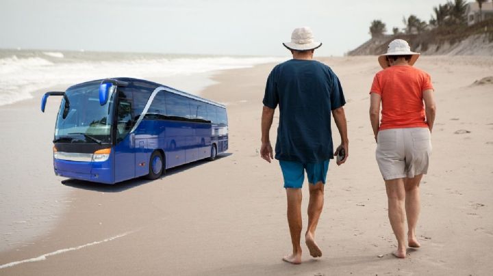 INAPAM: ¿Qué descuentos darán las líneas de autobús en Semana Santa?