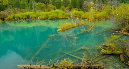 ¿Cuáles son los mejores manantiales turquesa para disfrutar Semana Santa cerca de CDMX?
