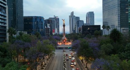 Hoy NO circula 28 de marzo 2026: ¿Qué autos descansan?