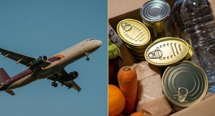 ¿Qué alimentos puedes empacar en tu equipaje de mano y cuales solo pueden ir en bodega?