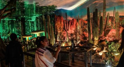 ¿Qué museos de la CDMX tendrán entrada GRATIS durante el Mundial 2026?