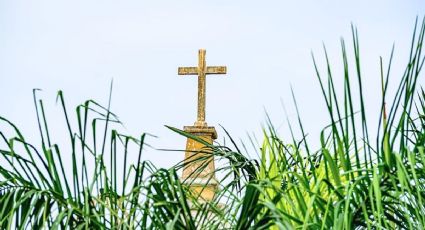 Domingo de Ramos: ¿Qué se celebra y cómo marca el inicio de Semana Santa?