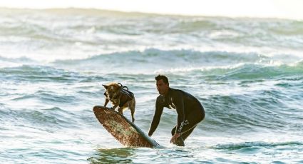 El perrito surfista que conquista las olas en Veracruz y enamora a turistas