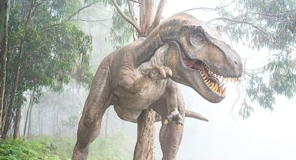 Mundo de Dinosaurios llega a Cancún para vacaciones jurásicas con niños