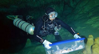 El misterio detrás de los fósiles humanos encontrados en Quintana Roo