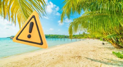 ¿Qué es la Fragata Portuguesa y cómo puedes cuidarte de ella si vas a la playa?