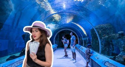 El acuario de Guadalajara que tendrá descuento especial en Semana Santa