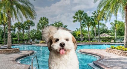 Balneario pet friendly en un Pueblo Mágico de Morelos con entrada por 210 pesos