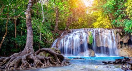 ¿Cómo llegar de la CDMX al Pueblo Mágico con cascadas conocido como el paraíso de la plata?