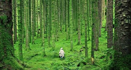El destino donde puedes disfrutar entre duendes en un Pueblo Mágico de Hidalgo