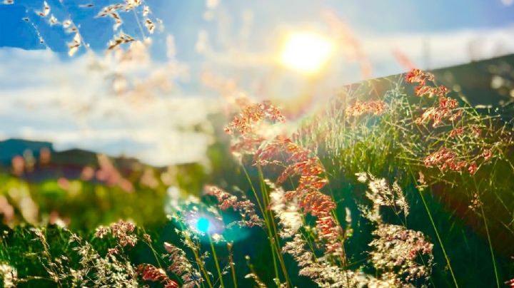 ¿Cuándo será el equinoccio de primavera 2026 en México?