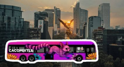 Nuevo Trolebús Cacomixtle en CDMX: ruta, estaciones y fecha de apertura antes del Mundial 2026