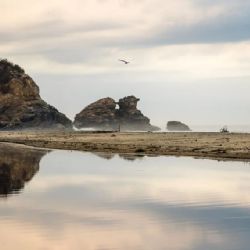 Clima y pronostico para Mazunte este jueves 20 de agosto