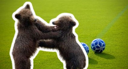 Ositos aparecen en plena cancha de futbol en Nuevo León y el video se vuelve viral