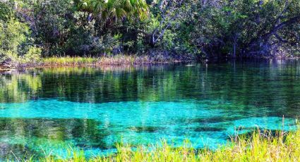 ¿Cómo llegar en autobús al Pueblo Mágico de Hidalgo con cascadas y pozas para nadar el finde?