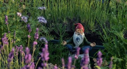 ¿Cómo llegar al increíble Bosque de los Duendes en un Pueblo Mágico de Querétaro?