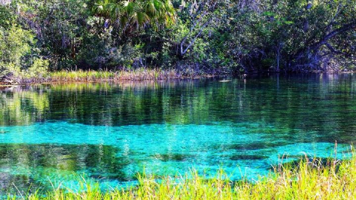 ¿Cómo llegar en autobús al Pueblo Mágico de Hidalgo con cascadas y pozas para nadar el finde?