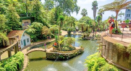 ¿Cómo llegar desde CDMX al bioparque de Hidalgo con alberca termal, zoológico y áreas temáticas?