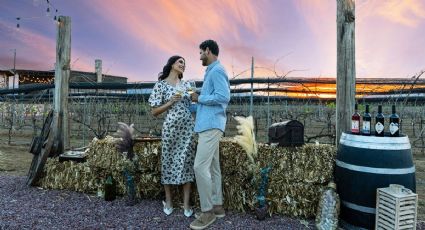 Festival Internacional del Arte, Queso y Vino celebra 50 años en este Pueblo Mágico de Querétaro