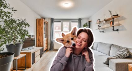 ¿Qué es el Pet sitting, la nueva tendencia para viajar por el mundo?