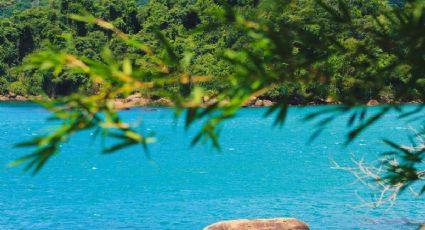 El increíble ‘Cancún’ de Veracruz con aguas cristalinas y turquesa para explorar entre cafetales