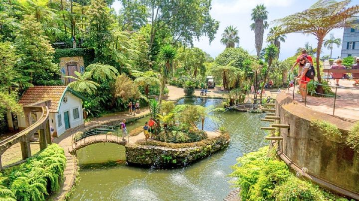 ¿Cómo llegar desde CDMX al bioparque de Hidalgo con alberca termal, zoológico y áreas temáticas?