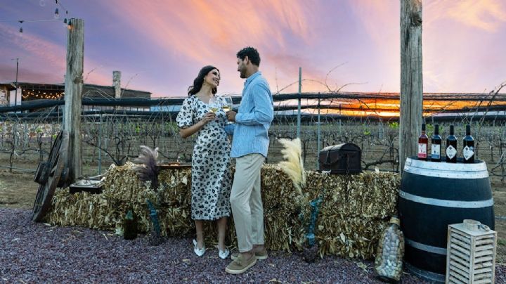 Festival Internacional del Arte, Queso y Vino celebra 50 años en este Pueblo Mágico de Querétaro