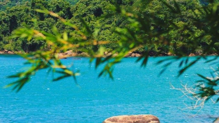 El increíble ‘Cancún’ de Veracruz con aguas cristalinas y turquesa para explorar entre cafetales