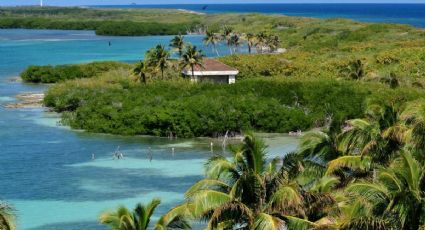 Pronóstico del clima en Isla Mujeres para este viernes 17 de abril
